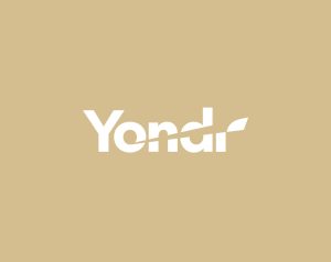 Yondr Group bolsters leadership team to drive growth and customer focus